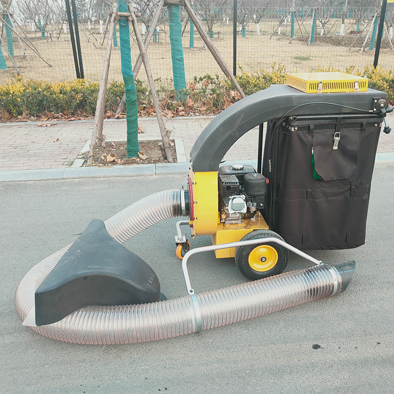 Mini Fahrzeuggetriebener Benzi – Power Tools Garden Bewertung und Preis
