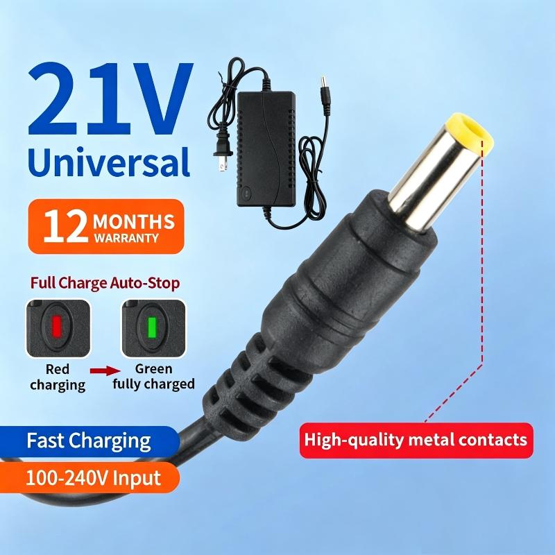 21V Schnellladegerät für Elekt – Power Tools Use Bewertung und Preis
